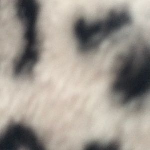 Meet your Posher, Lililly